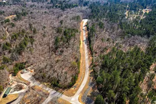 1006 Sadie, Lincolnton, GA 30817 - Photo 72