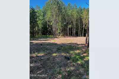 1198 Sunset Cove, Tignall, GA 30668 - Photo 44