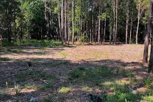 1198 Sunset Cove, Tignall, GA 30668 - Photo 44