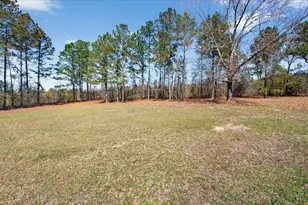395 Winchester Rd, Sylvania, GA 30467 - Photo 44