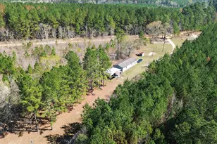 395 Winchester Rd, Sylvania, GA 30467 - Photo 60