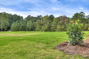 188 Collin Reeds Rd, North Augusta, SC 29860 - Photo 58