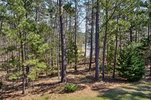 114 Rapidan Dr, McCormick, SC 29835 - Photo 36