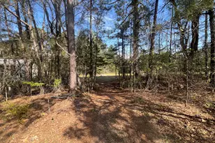 3329 NE Lincolnton Rd, Thomson, GA 30824 - Photo 42