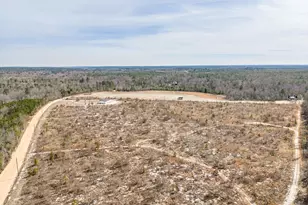 2579 Jessie James Pond Rd, Wrens, GA 30833 - Photo 62