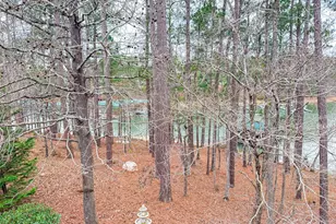 307 Superior Cove, McCormick, SC 29835 - Photo 34