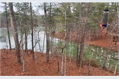 307 Superior Cove, McCormick, SC 29835 - Photo 24