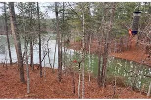 307 Superior Cove, McCormick, SC 29835 - Photo 24