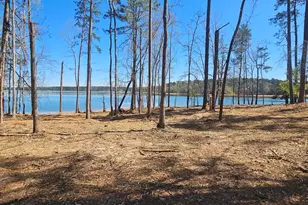 1199 Pawnee Dr, Lincolnton, GA 30817 - Photo 70