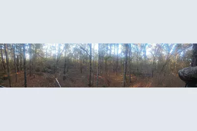 3979 Campground Road, Wrens, GA 30833 - Photo 6