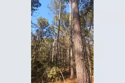 3979 Campground Road, Wrens, GA 30833 - Photo 2