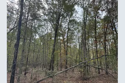Lot 11 Highway 88, Blythe, GA 30805 - Photo 2