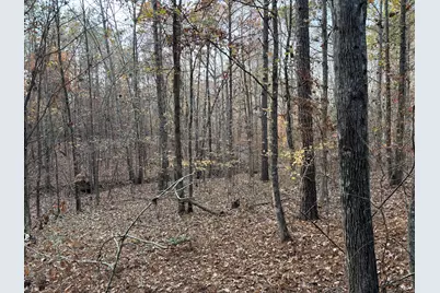 Lot 51 Willow Way, Lincolnton, GA 30817 - Photo 12