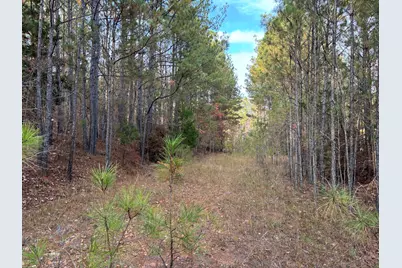 Lot 51 Willow Way, Lincolnton, GA 30817 - Photo 14