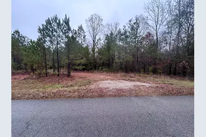 1956 Pineywoods Road, Lincolnton, GA 30817 - Photo 1