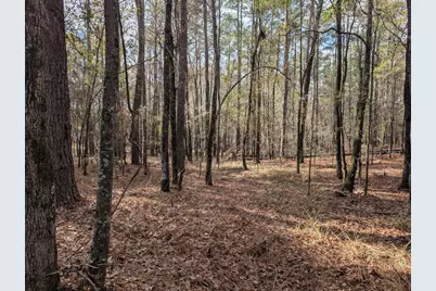 3015 Timber Woods Drive, Appling, GA 30802 - Photo 6