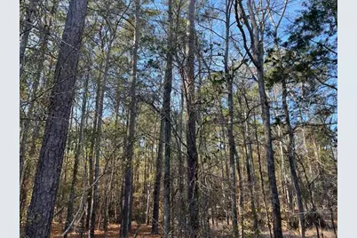 3015 Timber Woods Drive, Appling, GA 30802 - Photo 2