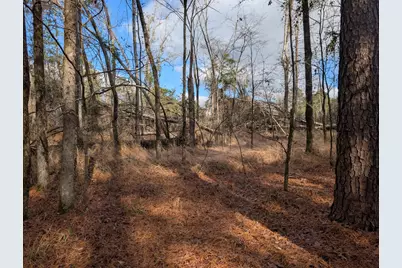 3015 Timber Woods Drive, Appling, GA 30802 - Photo 4