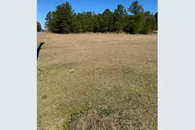 0 Dunbarton Boulevard, Barnwell, SC 29812 - Photo 2