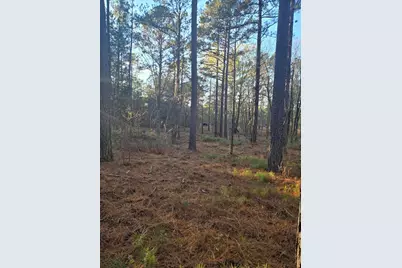0 Pineridge Drive, Lincolnton, GA 30817 - Photo 12