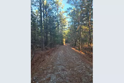 0 Pineridge Drive, Lincolnton, GA 30817 - Photo 2