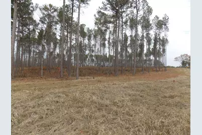 3 E Mosley Road, Lincolnton, GA 30817 - Photo 2