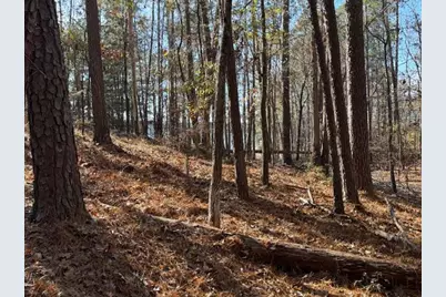 4-14 Old Ferry Road, McCormick, SC 29835 - Photo 6