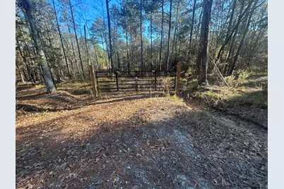 9.01 Hwy 220 E, Lincolnton, GA 30817 - Photo 2