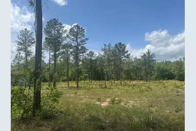 745 Wright Allen Road, Blythe, GA 30805 - Photo 6