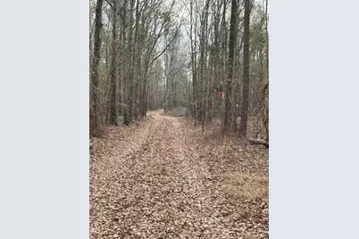 745 Wright Allen Road, Blythe, GA 30805 - Photo 2