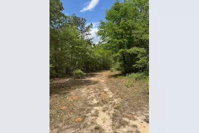 745 Wright Allen Road, Blythe, GA 30805 - Photo 12