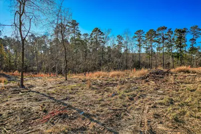 440 Abundance Way, Appling, GA 30802 - Photo 14