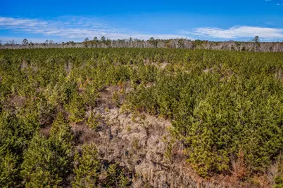 36 Moton Moore Road, McCormick, SC 29835 - Photo 6