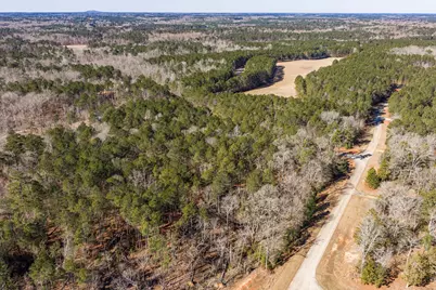 1038 Fleming Lake Court, Lincolnton, GA 30817 - Photo 8