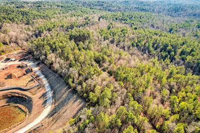 0 Washington Road, Appling, GA 30802 - Photo 1