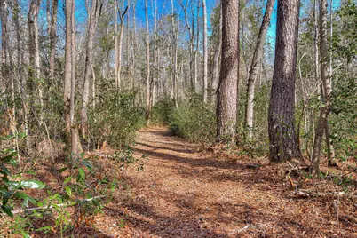 Tract 2 Day Road, Aiken, SC 29801 - Photo 12