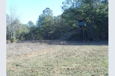 0 Ponderosa Road, Waynesboro, GA 30830 - Photo 36