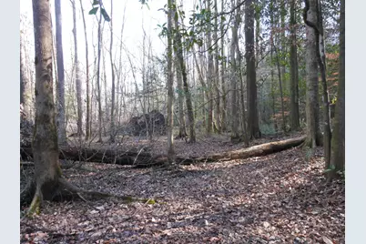 0 Ponderosa Road, Waynesboro, GA 30830 - Photo 30