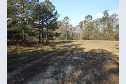 0 Ponderosa Road, Waynesboro, GA 30830 - Photo 22