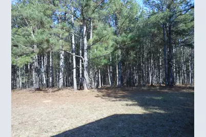 0 Ponderosa Road, Waynesboro, GA 30830 - Photo 40