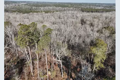 0 Ponderosa Road, Waynesboro, GA 30830 - Photo 10
