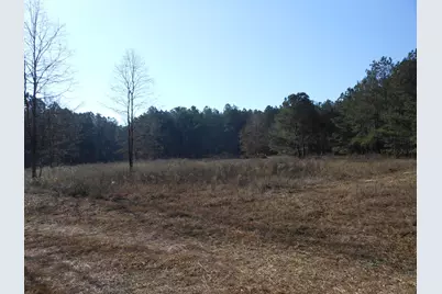 0 Ponderosa Road, Waynesboro, GA 30830 - Photo 38
