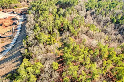 0 Washington Road, Appling, GA 30802 - Photo 6