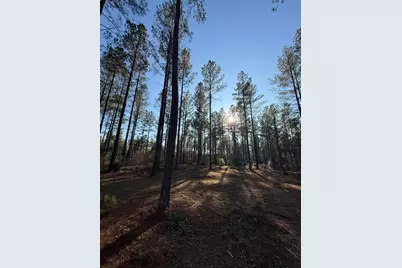 Lot 7 Christian Road, McCormick, SC 29835 - Photo 8