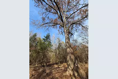 Lot 7 Christian Road, McCormick, SC 29835 - Photo 6
