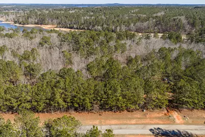 Lot 64 Wisteria Drive, Lincolnton, GA 30817 - Photo 4