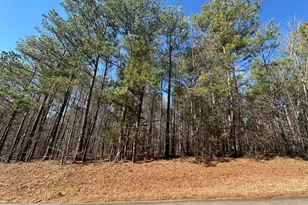 Lot 31 Willow Way, Lincolnton, GA 30817 - Photo 1