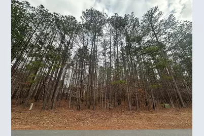 B14 L18 Candlewick Loop, McCormick, SC 29835 - Photo 1