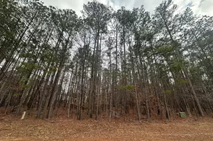B14 L18 Candlewick Loop, McCormick, SC 29835 - Photo 1