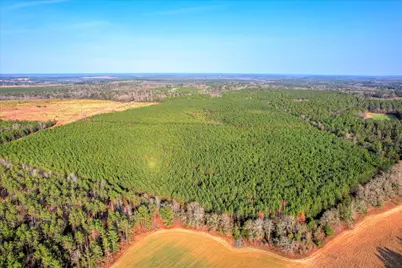 0 Old Thomson Road, Wrens, GA 30833 - Photo 14